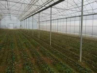 萊蕪市萊城區(qū)蔚霖節(jié)水灌溉產(chǎn)品經(jīng)營(yíng)部